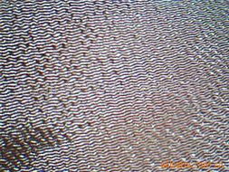 吳江市永鳴紡織品 絲綢系列面料產品與遮篷應用全解析